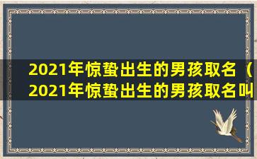 2021年惊蛰出生的男孩取名（2021年惊蛰出生的男孩取名叫什 🍀 么）